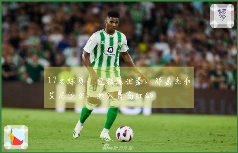 17名球员，包括陈世豪、邓嘉杰和艾尼沙尔，加入青岛红狮