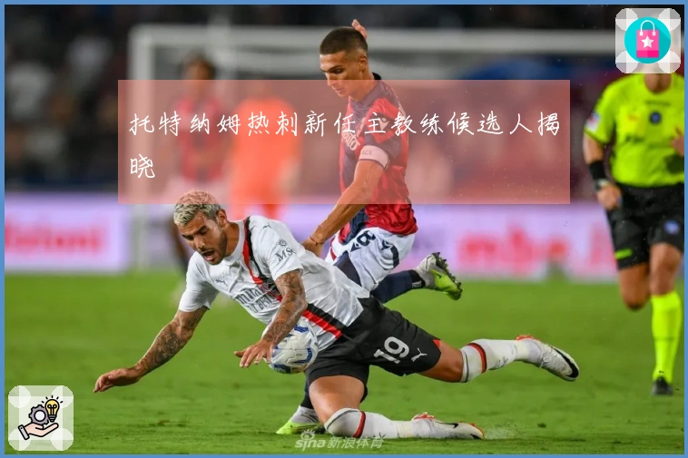 托特纳姆热刺新任主教练候选人揭晓